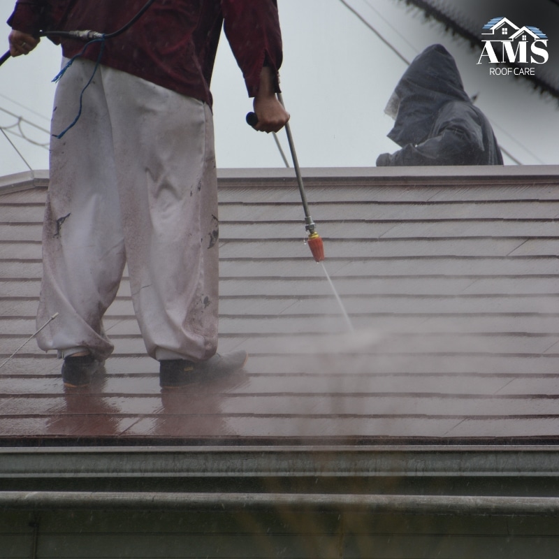 Image presents Roof Cleaning and Moss Removal Services