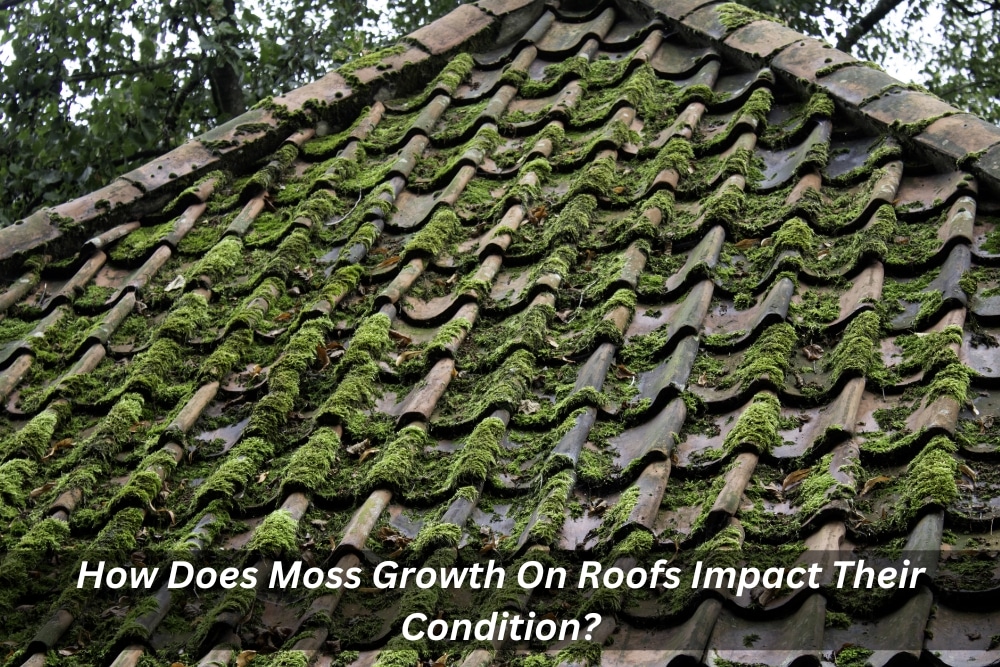 Image presents How Does Moss Growth On Roofs Impact Their Condition