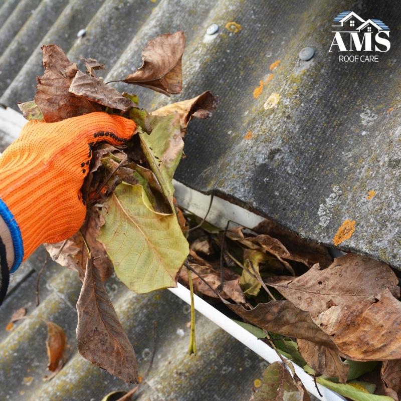 Image presents Gutter Cleaning Service