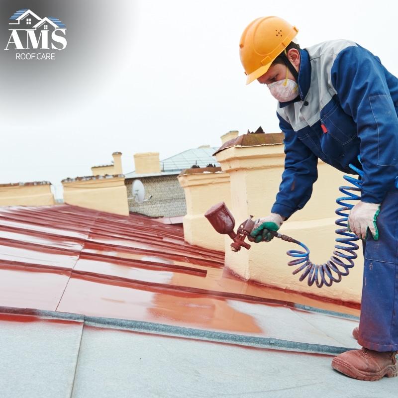 Image presents Professional Roof Painters